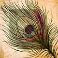Image Not Available